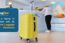 LugBee: Making a Name in the Market with Its Innovative Luggage Storage Solutions