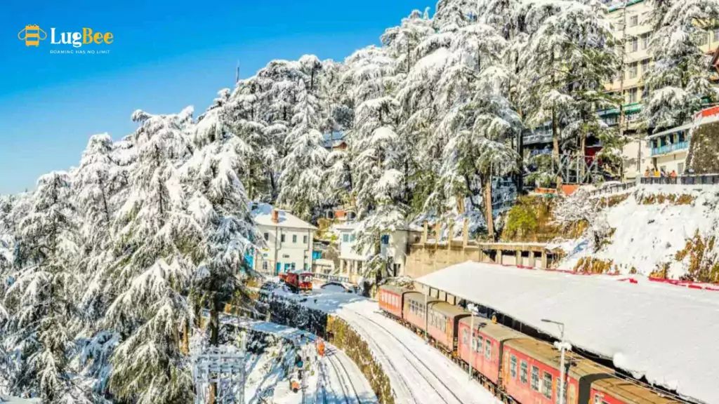 Shimla Travel with Friends: Lugbee Keeps Your Memories Safe