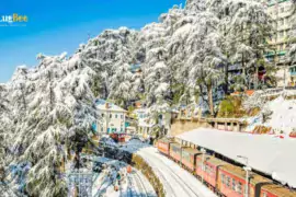 Shimla Travel with Friends: Lugbee Keeps Your Memories Safe