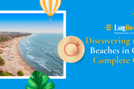 Discovering the Best Beaches in Goa: A Complete Guide