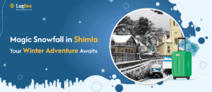 Magic Snowfall in Shimla: Your Winter Adventure Awaits